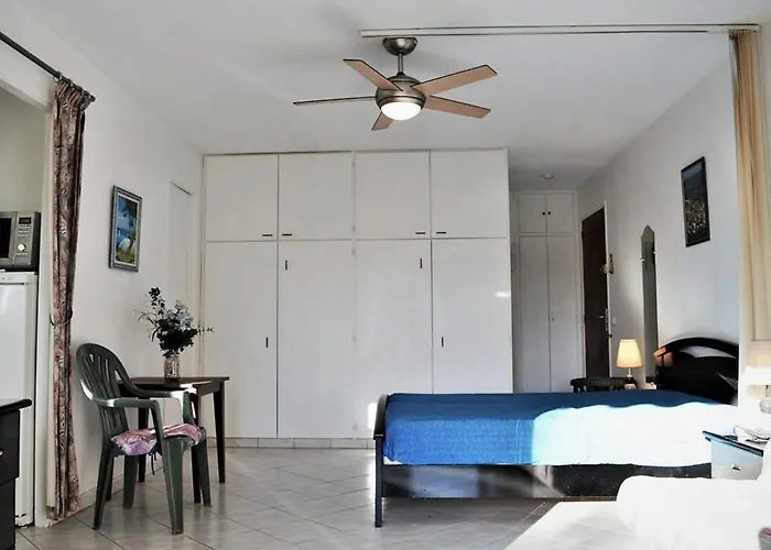 Studio Climatise Avec Parking, Terrasse Au Lavandou - Fr-1-251-167 公寓 勒拉旺杜