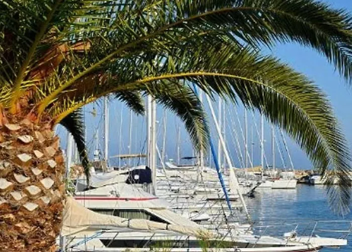 Studio Climatise Avec Parking, Terrasse Au Lavandou - Fr-1-251-167 Lägenhet *