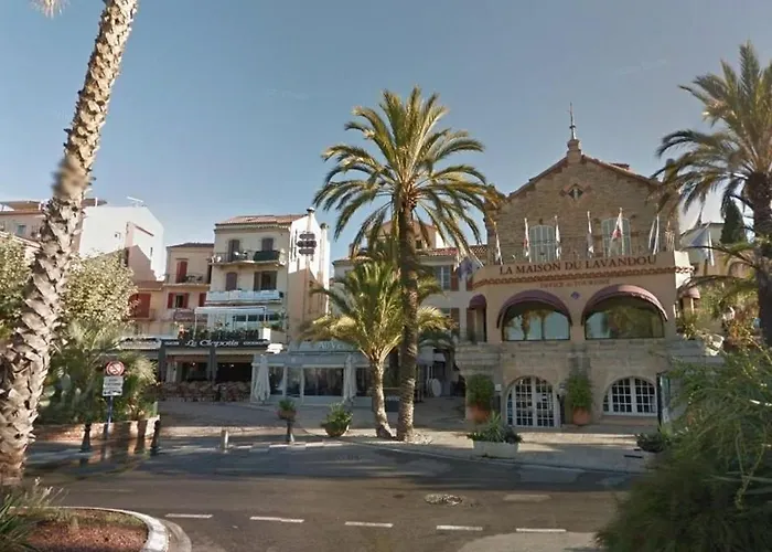 Studio Climatise Avec Parking, Terrasse Au Lavandou - Fr-1-251-167 *